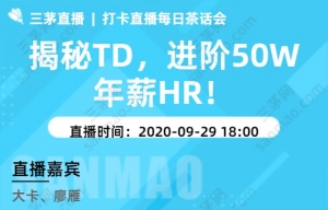 揭秘TD，进阶50W年薪HR！