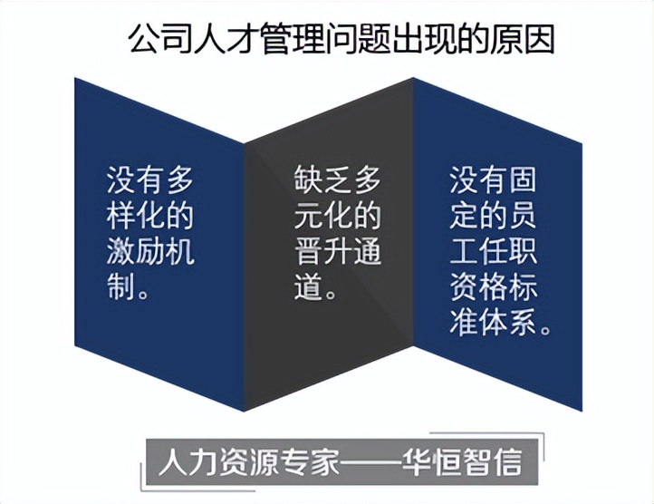 「人才梯队建设」信息技术行业人才管理体系搭建