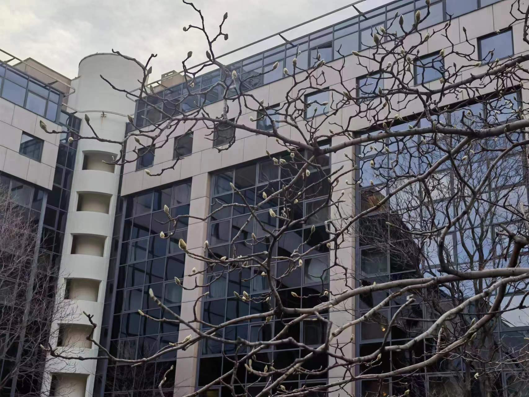 【癸卯记事之十四】2.14里学习忙