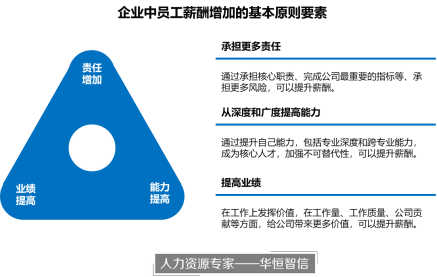 央企转型下的人力资源改革项目实施方案