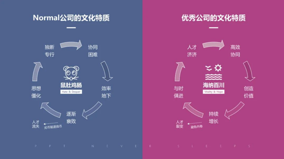 一张图区分Normal公司和优秀公司（三）