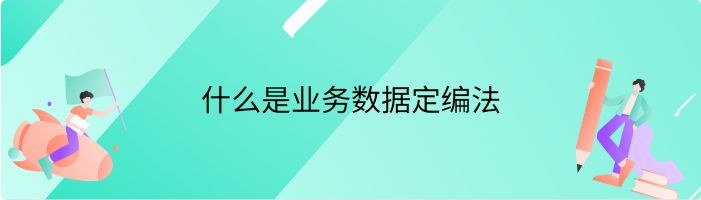 什么是业务数据定编法