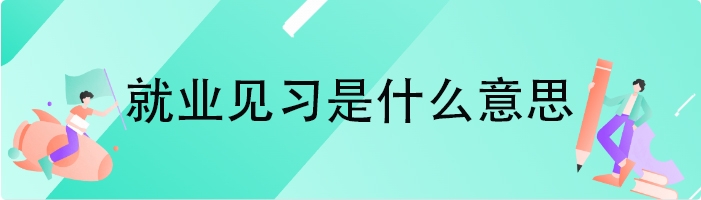 就业见习是什么意思