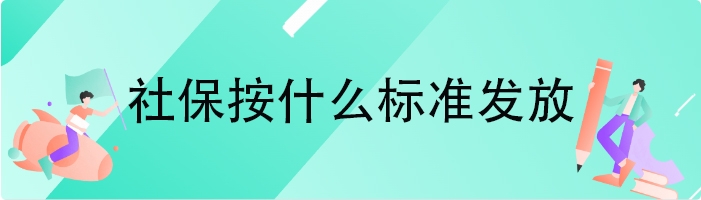 社保按什么标准发放