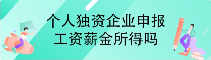 个人独资企业申报工资薪金所得吗