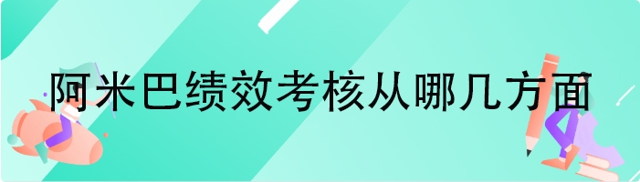 阿米巴绩效考核从哪几方面