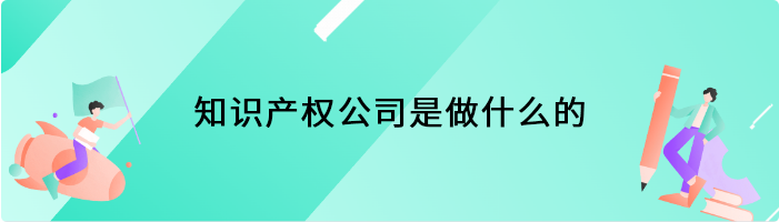 知识产权公司是做什么的