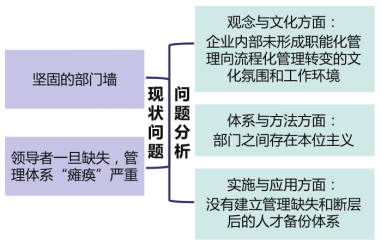 某电信公司管控体系优化项目成功案例纪实