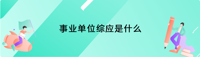 事业单位综应是什么