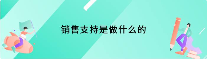 销售支持是做什么的