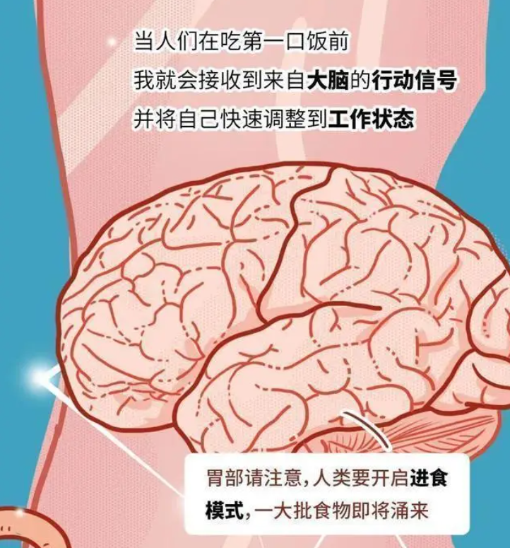 胃癌发生前有哪些症状？体检能够查出来吗？