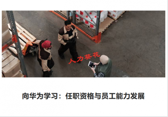 人力葵花, 华为各岗位任职资格标准，看完真的服！