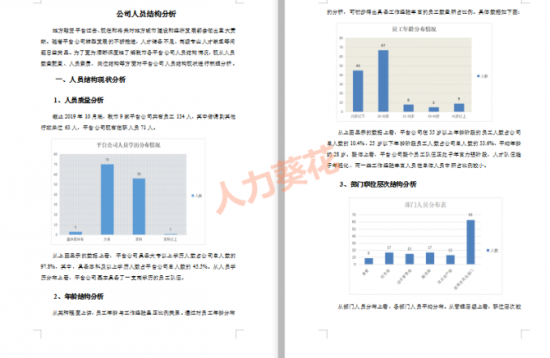 人力葵花, 公司人员结构分析.xls