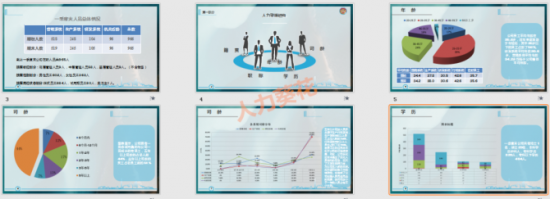 人力葵花, 公司人员结构分析.xls