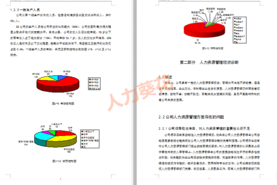 人力葵花, 公司人员结构分析.xls