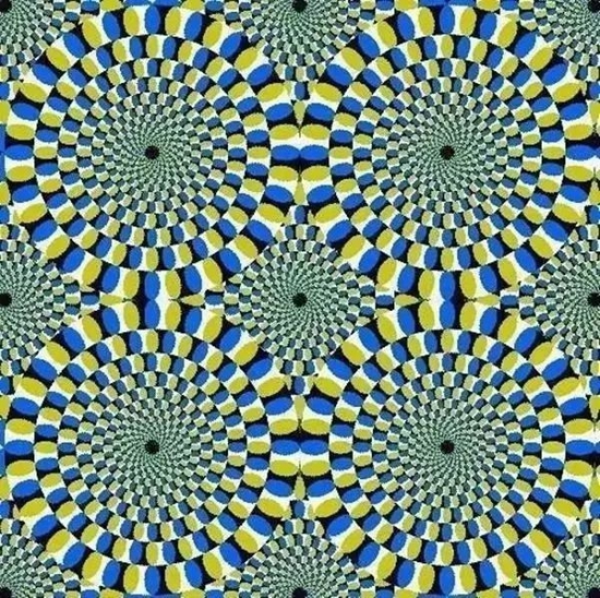 人力葵花, 你第一眼看到的是什么？答案准到想哭！