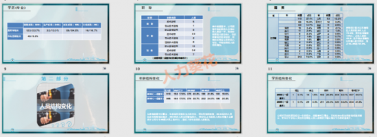 人力葵花, 公司人员结构分析.xls