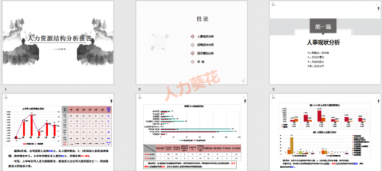人力葵花, 公司人员结构分析.xls