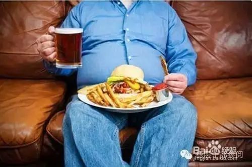 人力葵花, 胖是工伤：越努力工作越容易发胖！