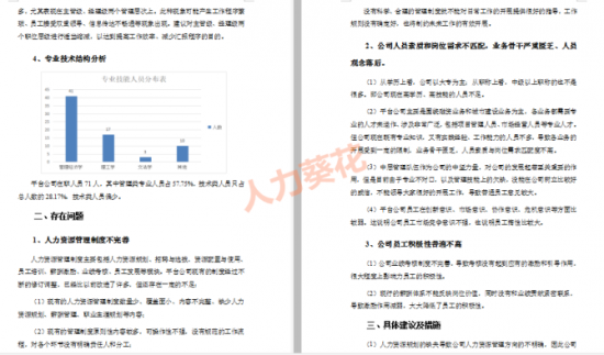 人力葵花, 公司人员结构分析.xls