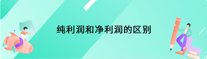 纯利润和净利润的区别