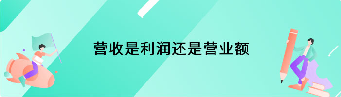 营收是利润还是营业额