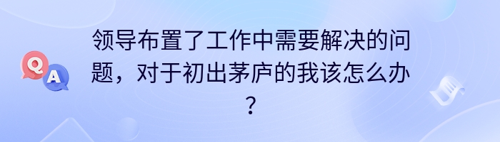 领导布置了工作中需要解决的问题，对于初出茅庐的我该怎么办？