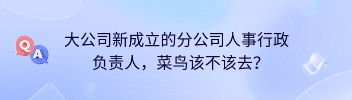 大公司新成立的分公司人事行政负责人，菜鸟该不该去？