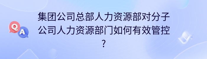 集团公司总部人力资源部对分子公司人力资源部门如何有效管控?