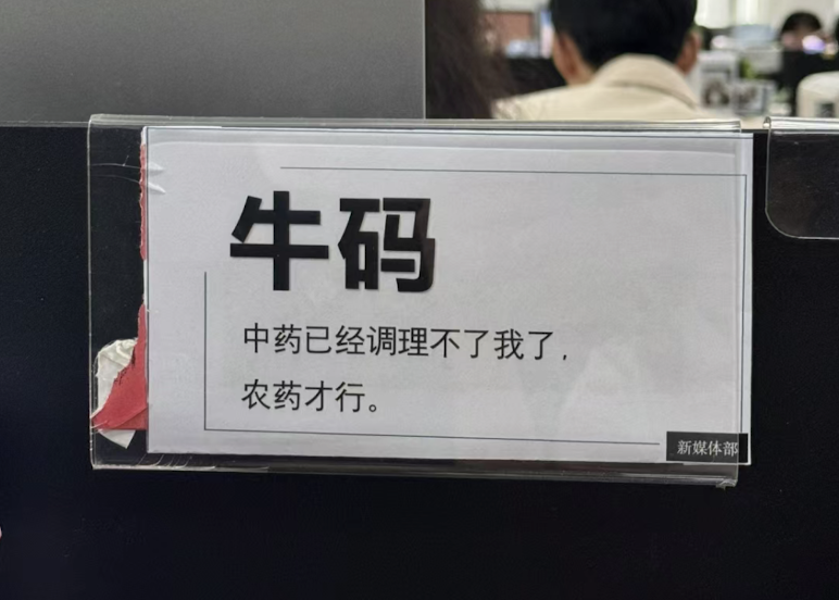 上班发疯 打工轻松，工位文学在小红书上又又又火了