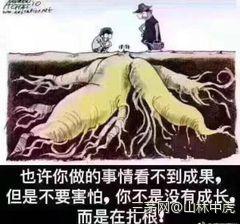 善弈者通盘无妙手