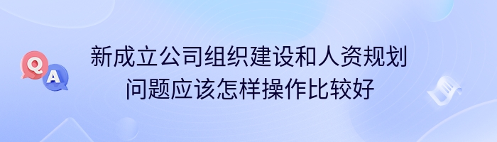 新成立公司组织建设和人资规划问题应该怎样操作比较好