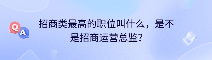 招商类最高的职位叫什么，是不是招商运营总监？