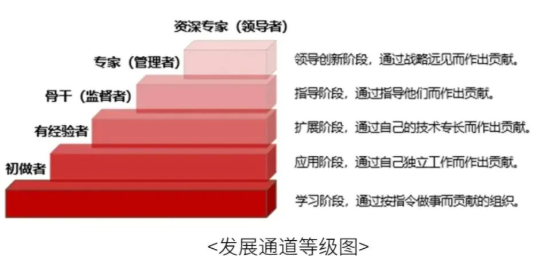 划分等级