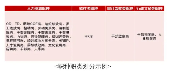 职类职种划分