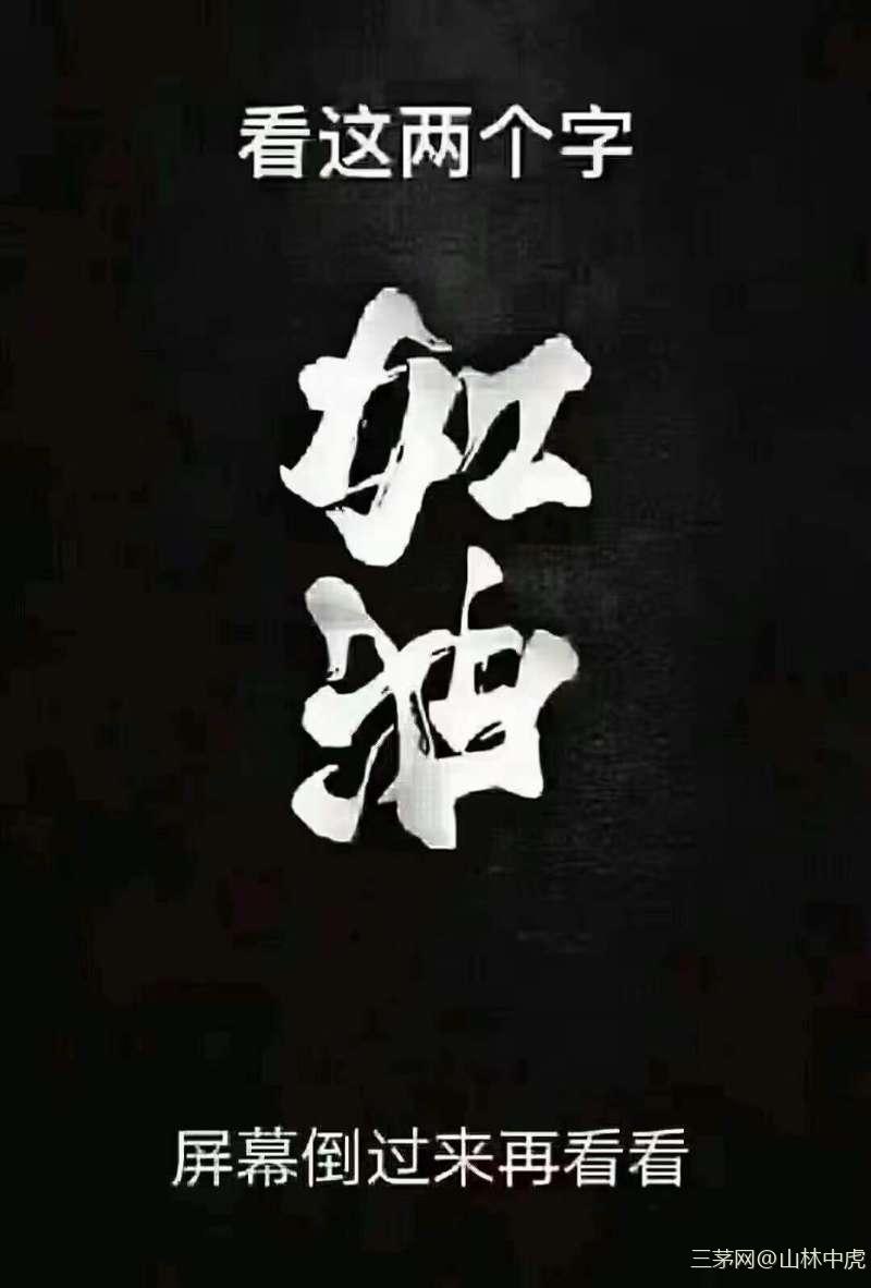莫负时光，用心耕耘，去活出属于你的精彩