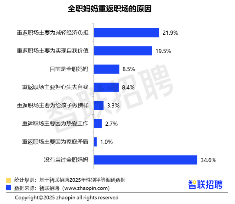 2025年职场妈妈生存状况调查报告