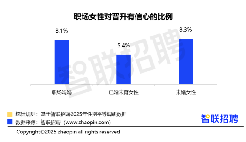 2025年职场妈妈生存状况调查报告