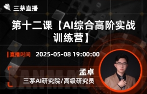 第十二课【AI综合高阶实战训练营】