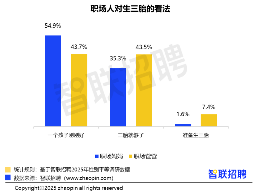 2025年职场妈妈生存状况调查报告