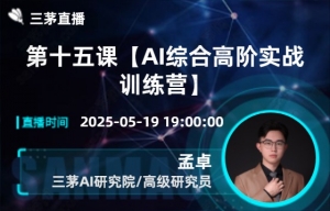 第十五课【AI综合高阶实战训练营】