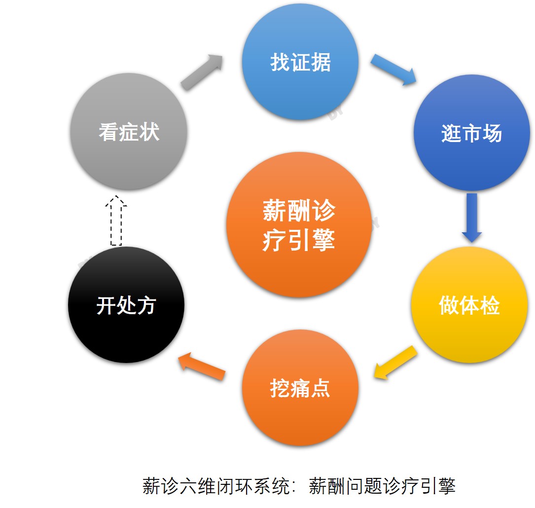 《薪诊六维闭环系统：薪酬问题诊疗引擎》