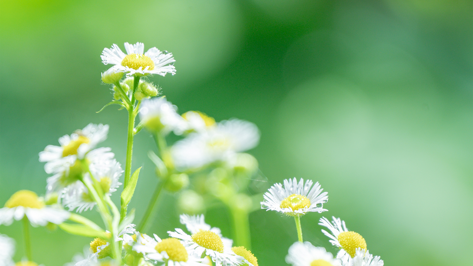 因公受伤与非因公受伤，病假工资怎么算？