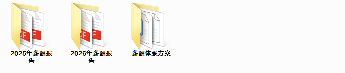 2026薪酬报告.pdf