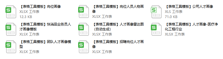 关键人才画像（全）.xls